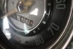 speedo